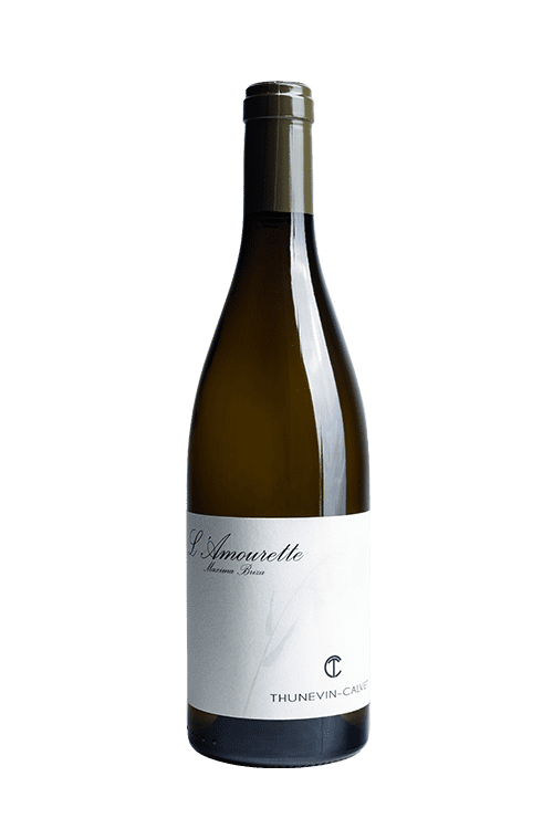 amourette - blanc - maury